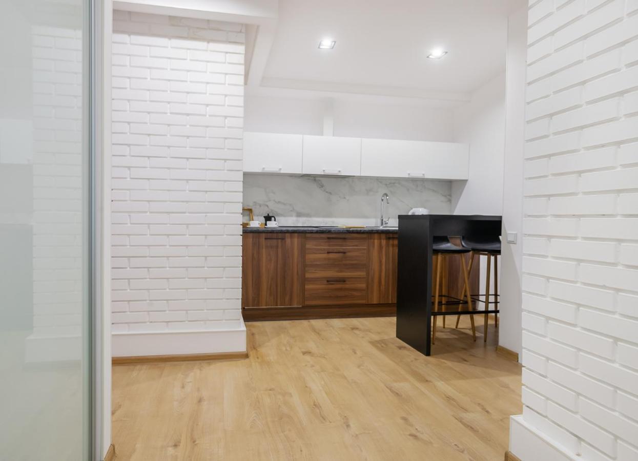 Amsterdam Lviv Apartments エクステリア 写真